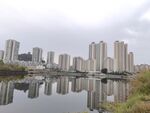 城市湖畔高楼倒影景观