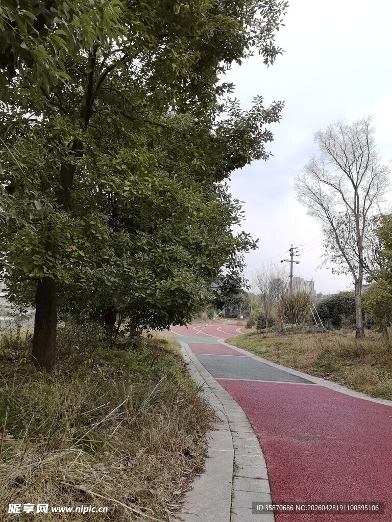 林间红径静谧自然之景
