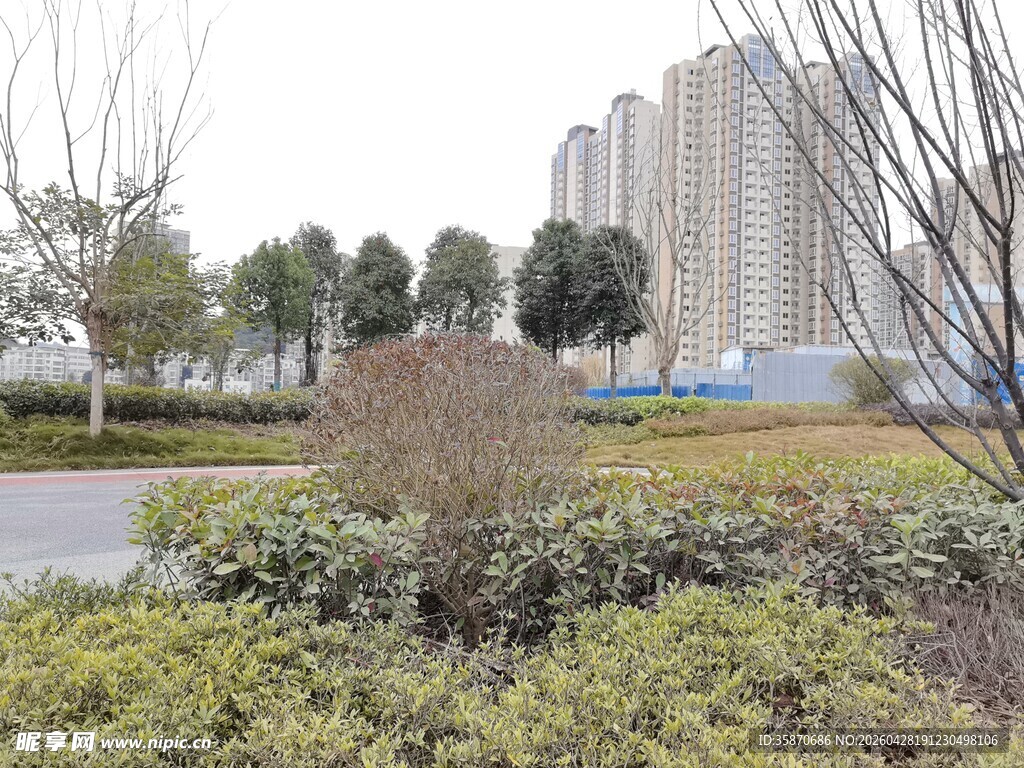 城市绿植景观与高楼