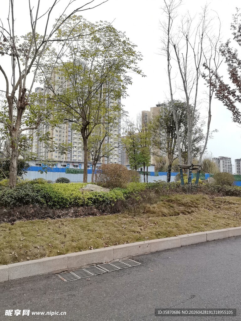 城市路边的绿化景观
