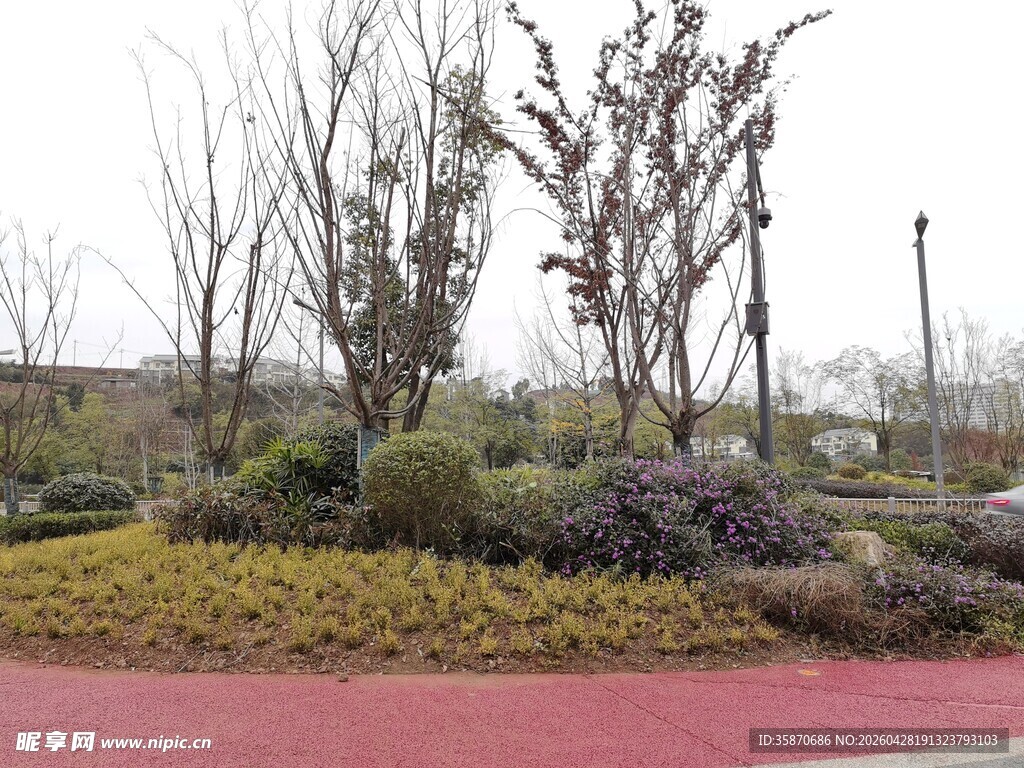 城市园区中的多彩植物景观