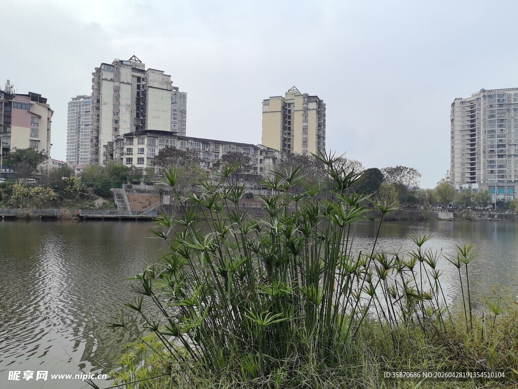 河畔城市景观