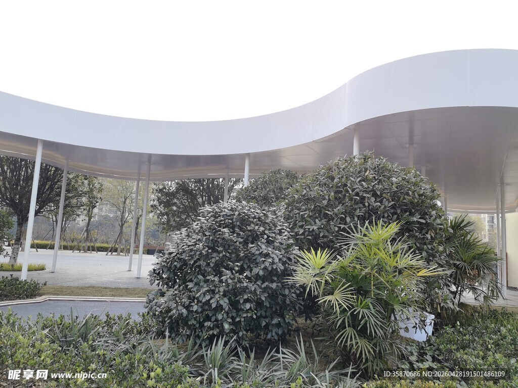 现代建筑旁的绿植景观