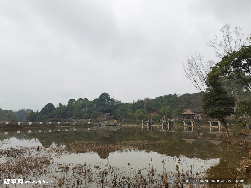 湖畔风光静谧自然景致