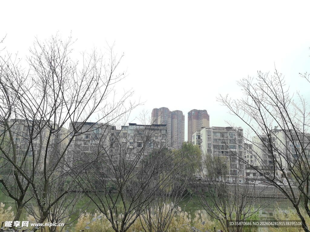 城郊萧瑟景象与远处高楼