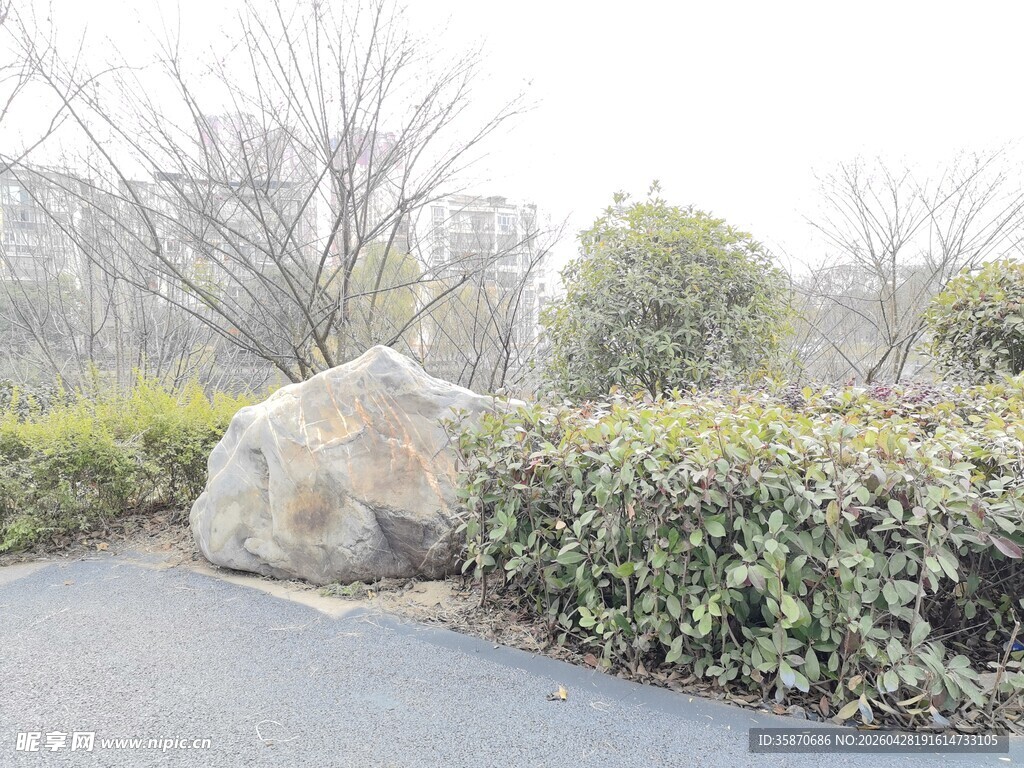园林中巨石与绿植景观
