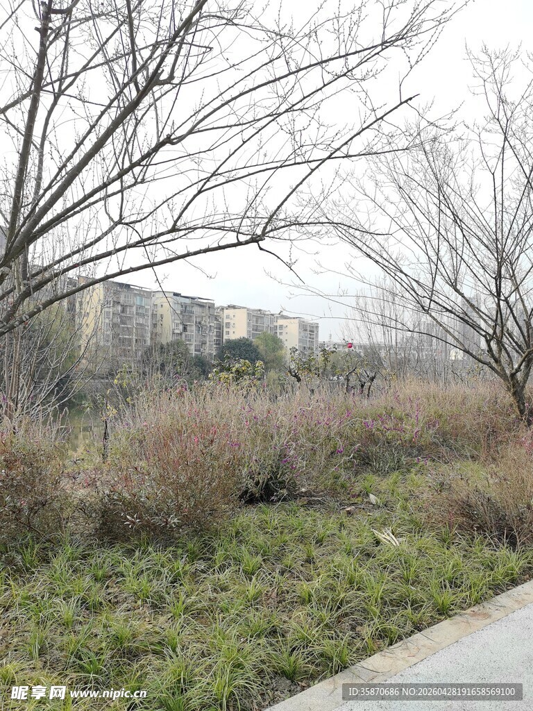 冬日城郊荒芜小路景象