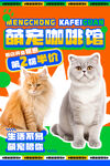 萌宠猫咪促销海报