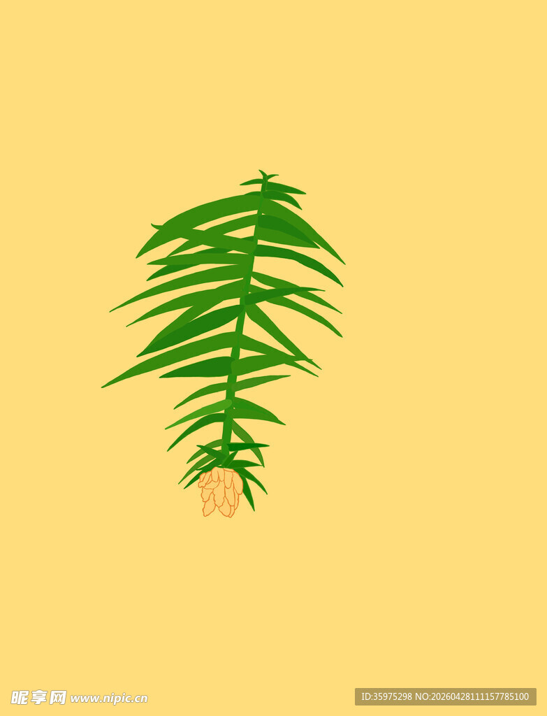 松叶插画