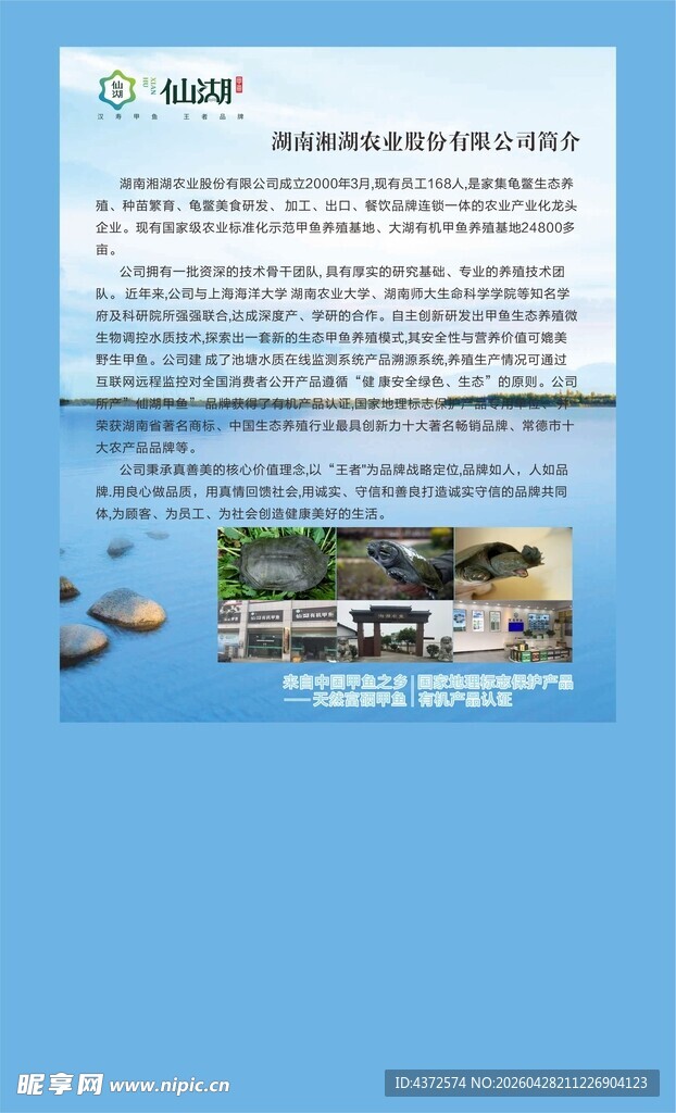 仙湖 汉寿甲鱼
