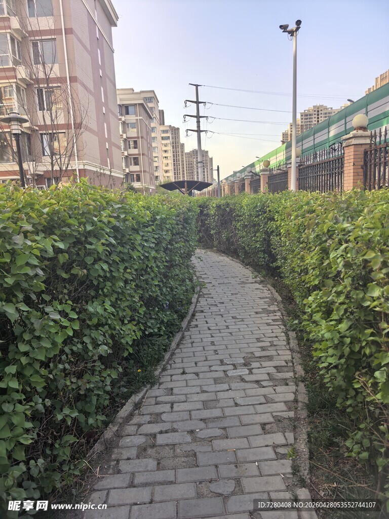 城市中蜿蜒的绿植小径