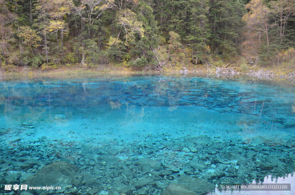 梦幻蓝湖森林环绕之景