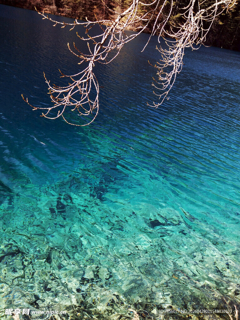 清澈蓝湖水下景致迷人