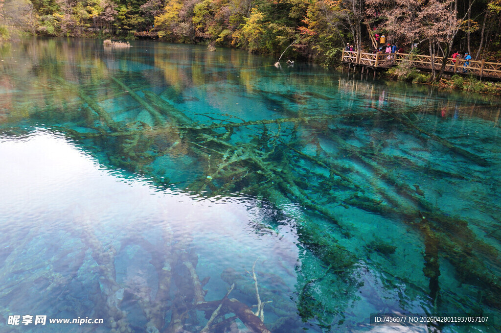 清澈蓝绿湖水美景