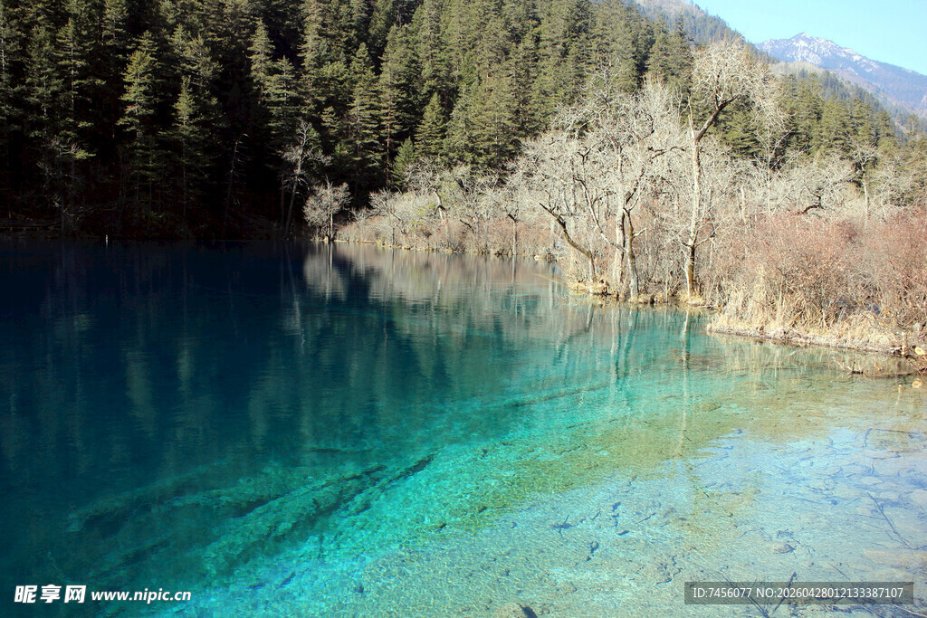 蓝绿色湖水边的山林美景