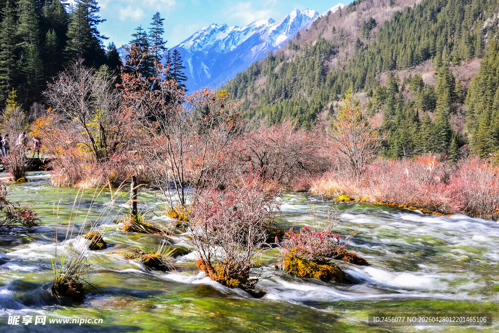 山间溪流秋色美景