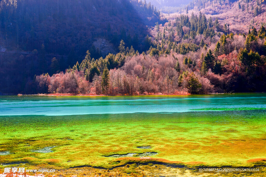 梦幻翠湖边的山林美景