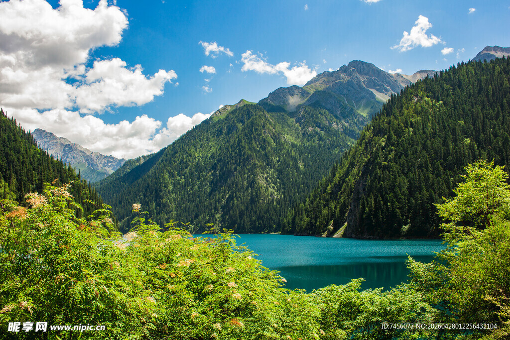 高山翠湖美景