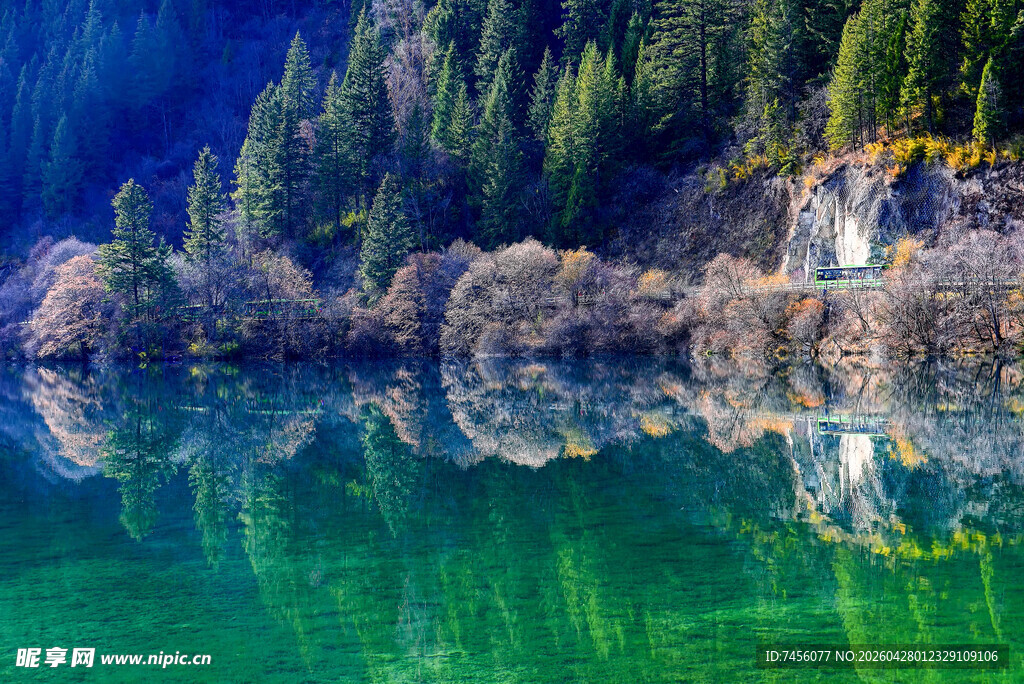 碧绿湖水旁的山林美景