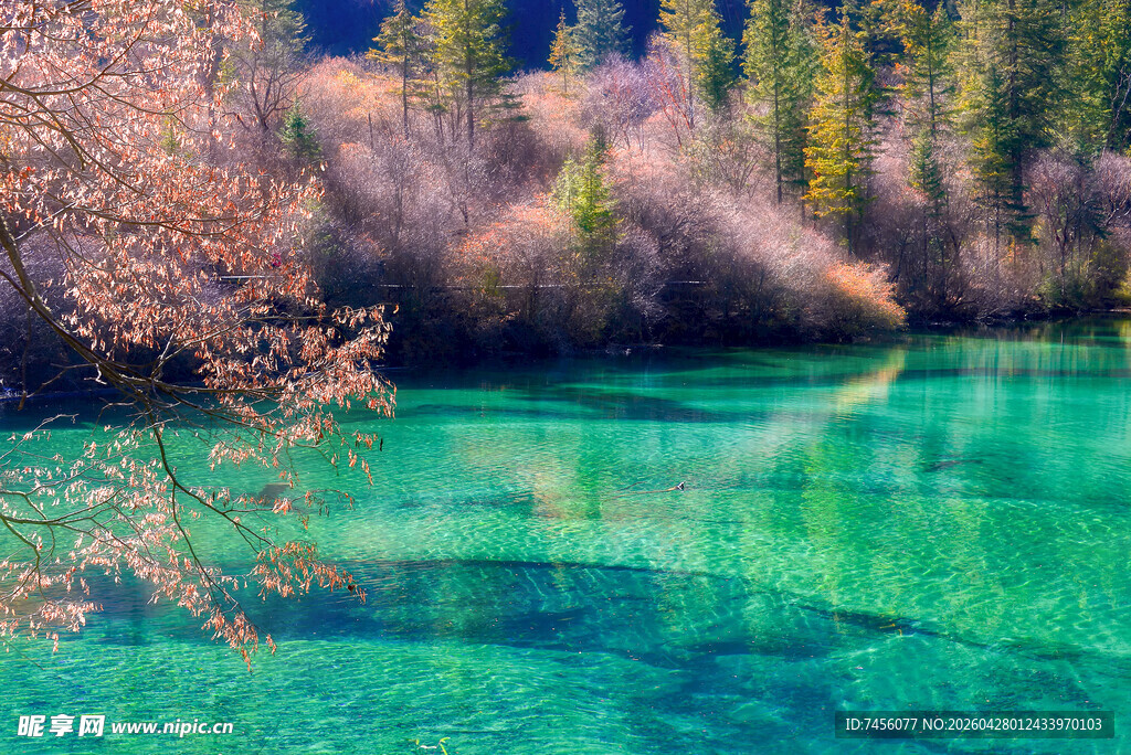 梦幻蓝绿湖水山林美景