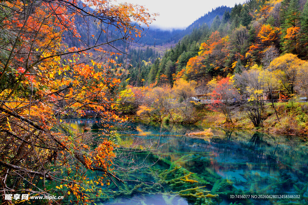 秋日斑斓的山水美景