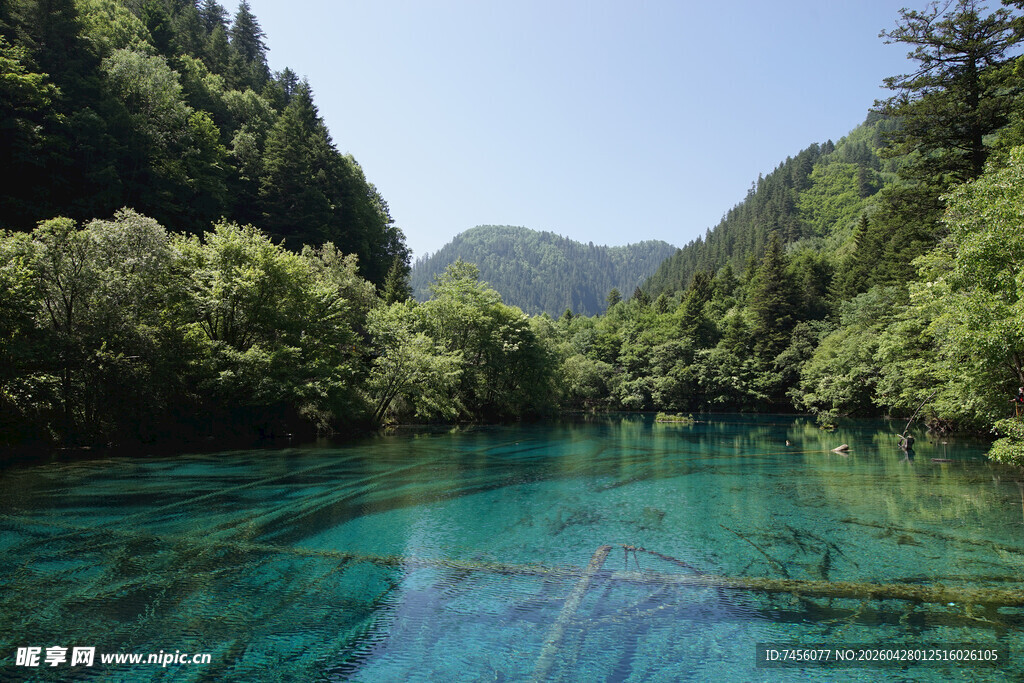 九寨沟清澈碧绿的美丽湖水