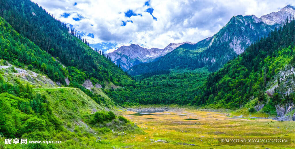 山间绿野美景