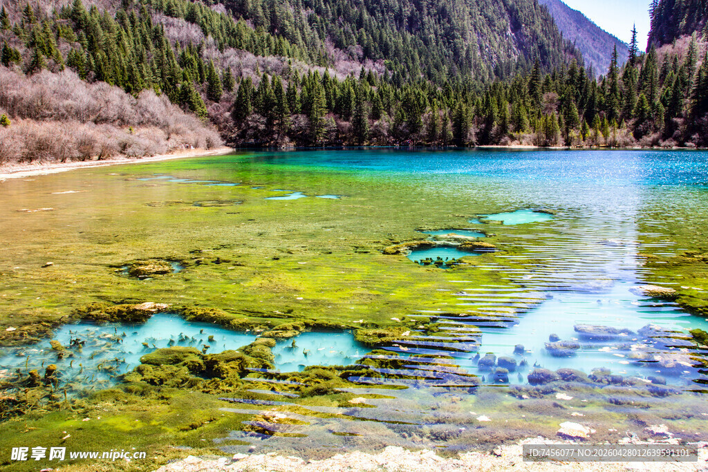 九寨沟清澈秀丽的湖水