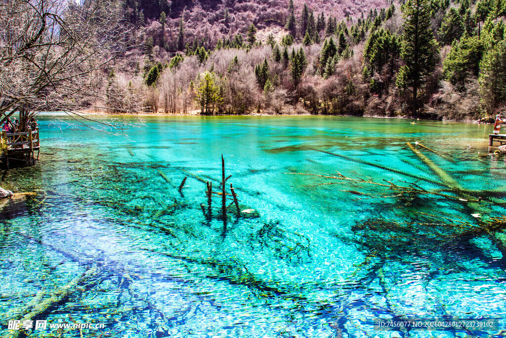 梦幻蓝绿色湖水森林美景