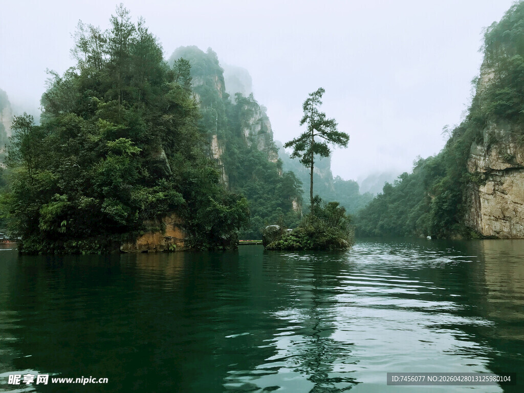 青山绿水间的静谧河道