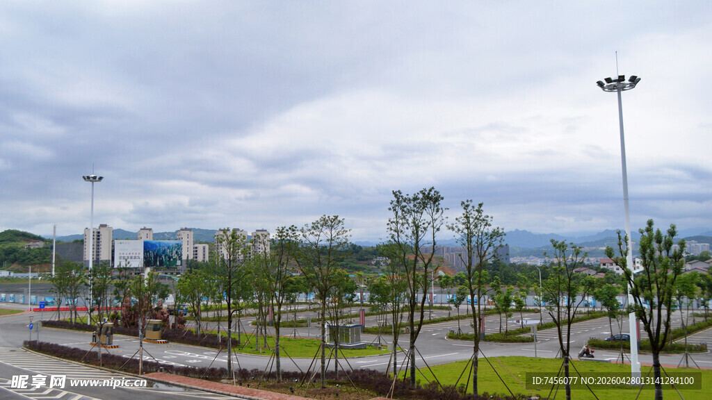 城市街边绿化景观