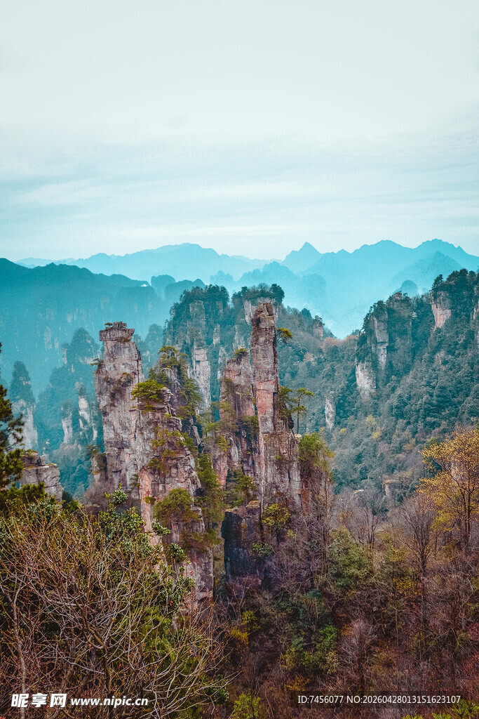 张家界奇峰美景