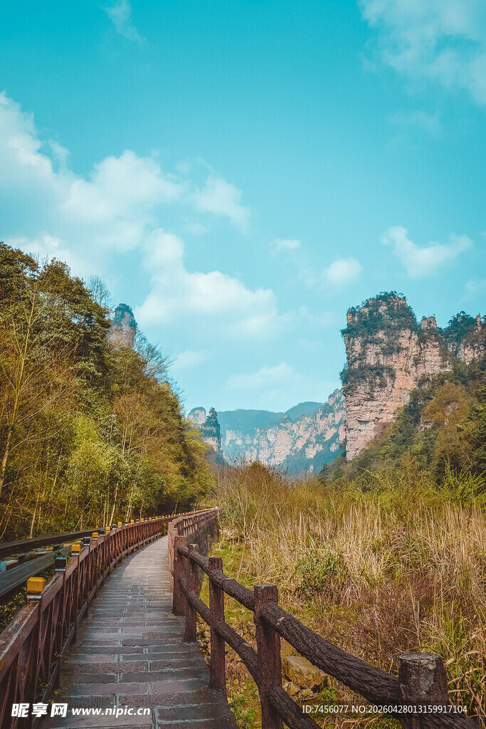 山间木栈道自然风光美