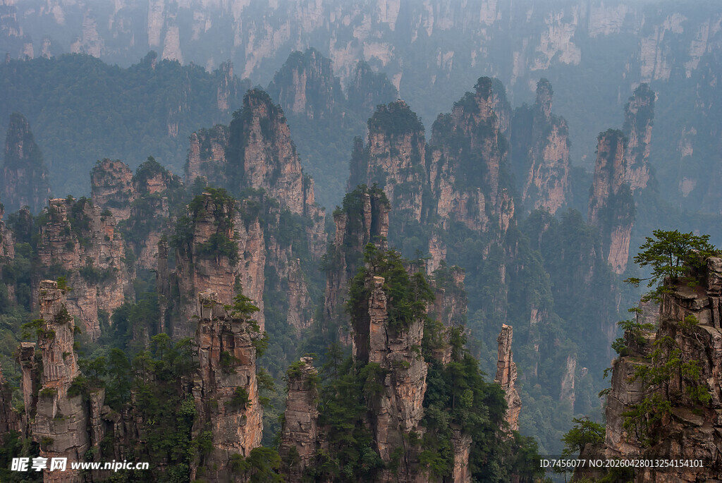 张家界奇峰林立美景