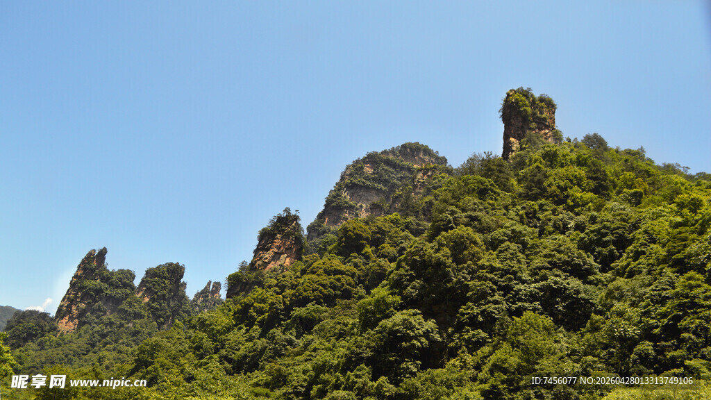 奇峰耸翠的山林景观