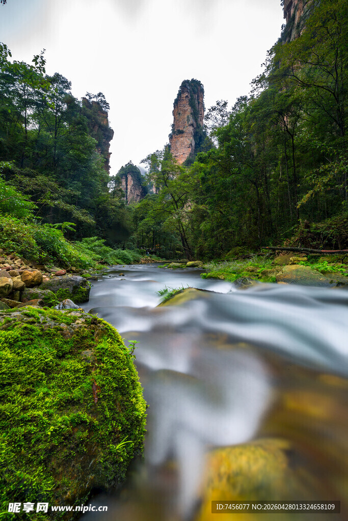 山间溪流旁的绿意景致