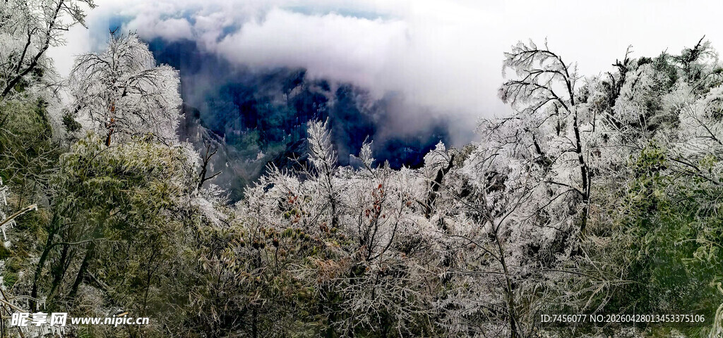 云雾缭绕的山林美景