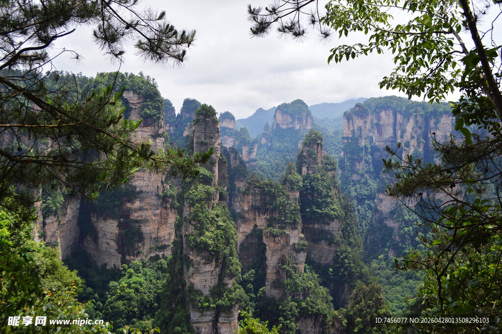 张家界奇峰林立美景
