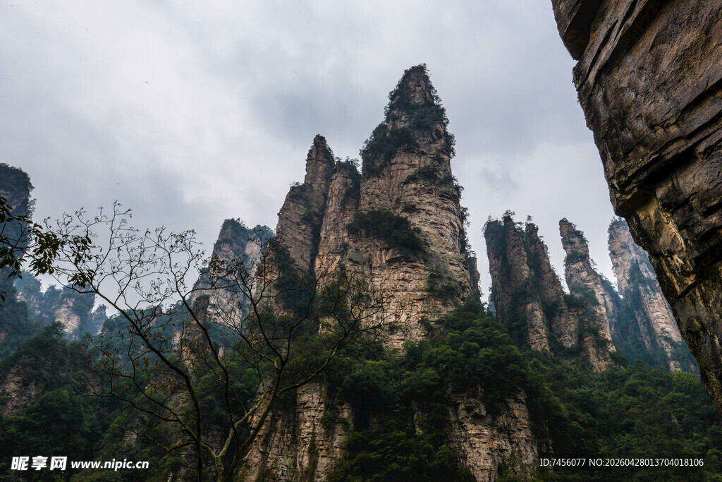 张家界奇峰异石景观