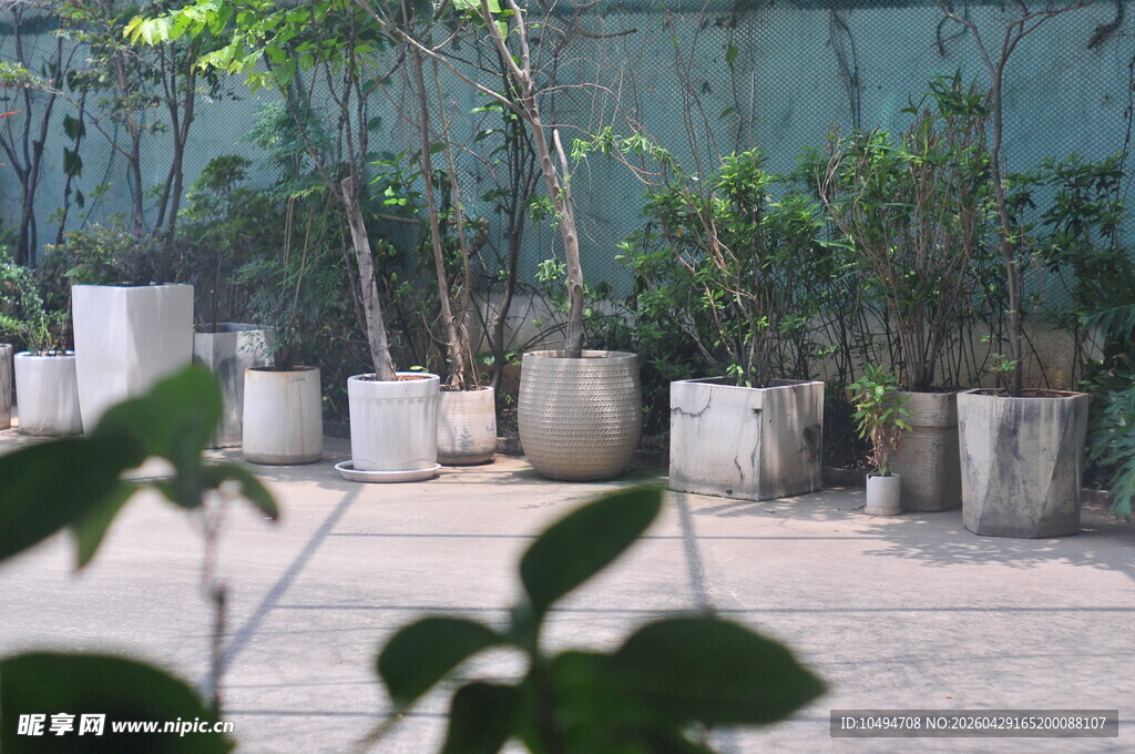 庭院绿植盆栽景观