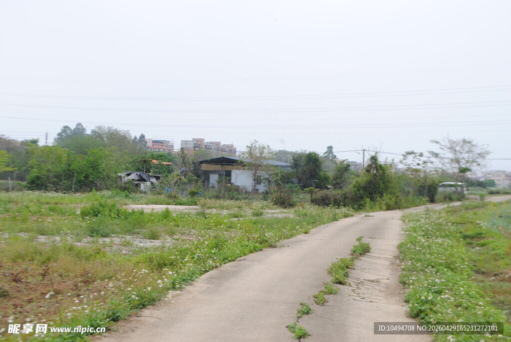 乡间小路田园风光