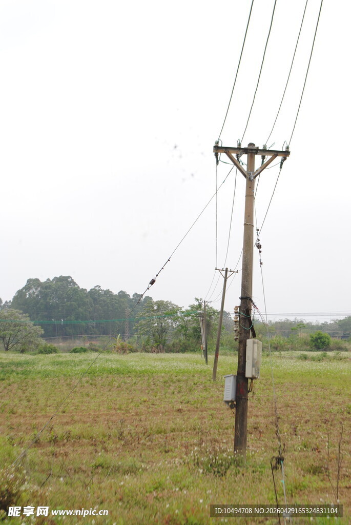 田野中的电线杆与电线