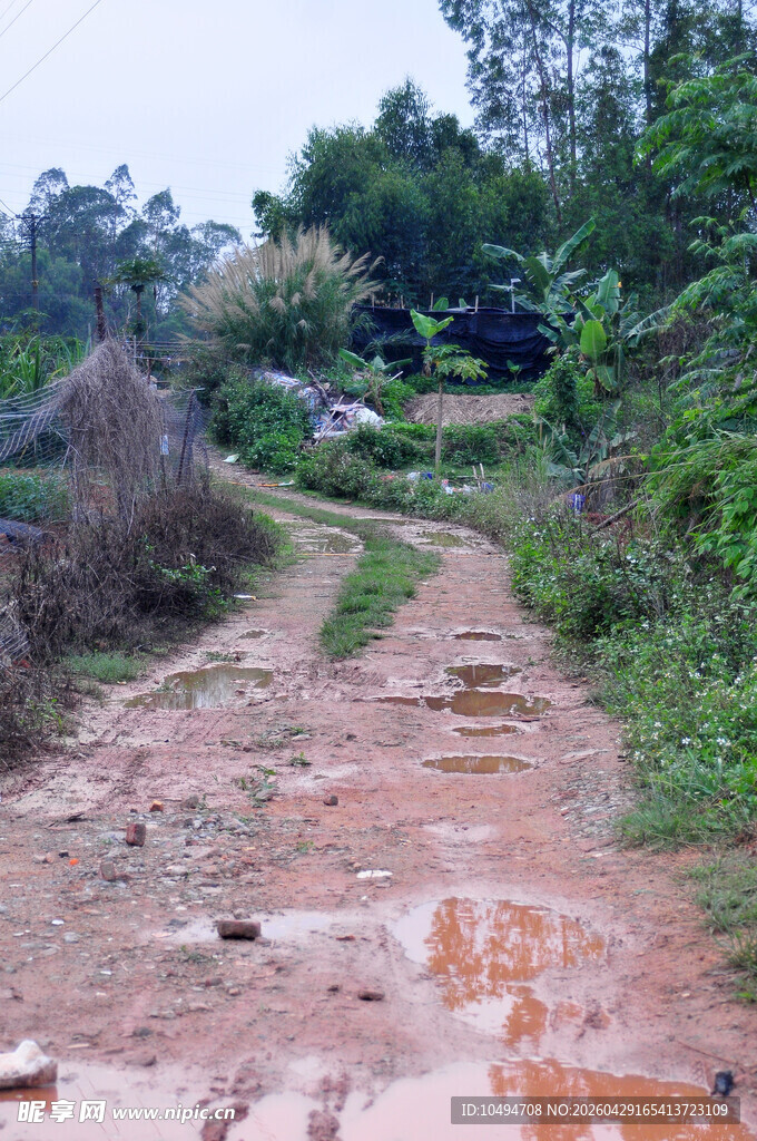 雨后泥泞乡间小道