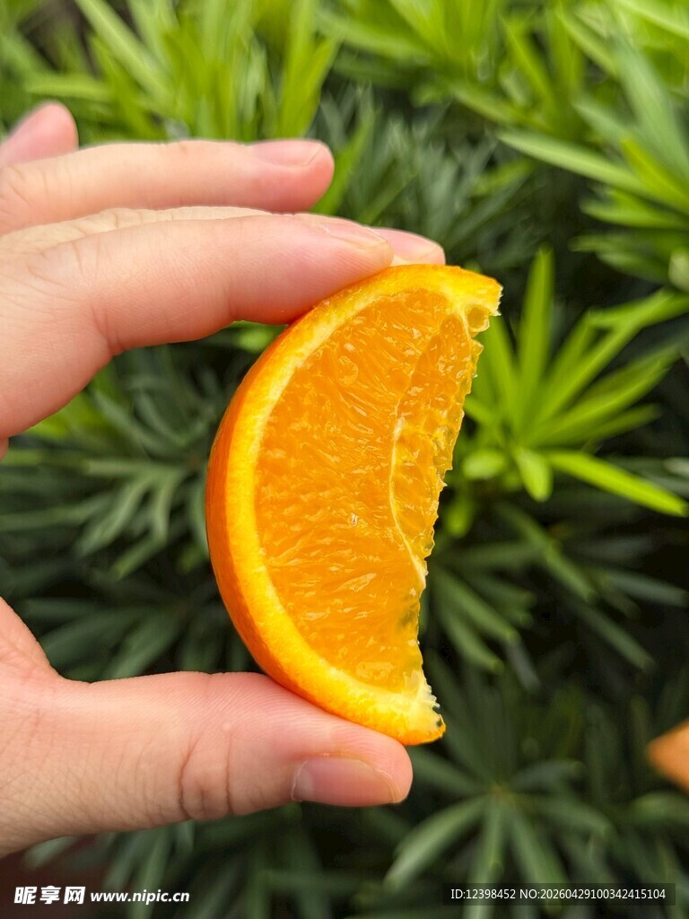 手持鲜橙切片