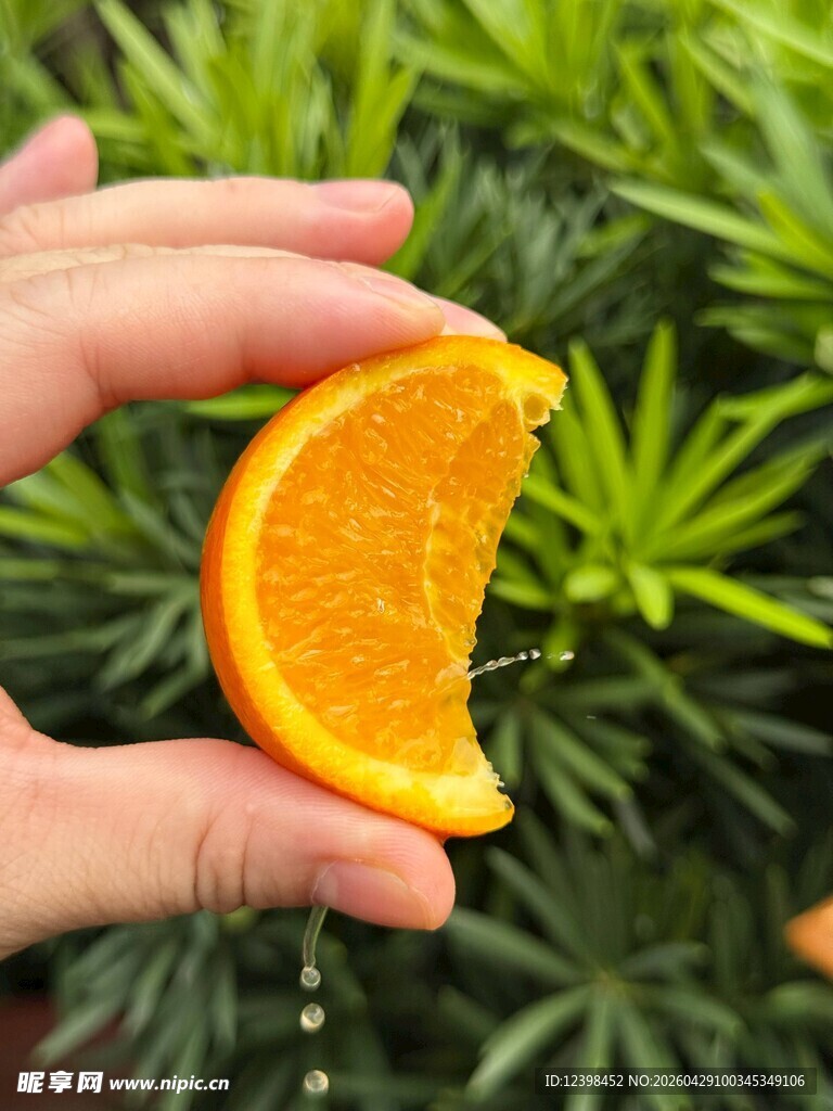 手捧切片多汁橙子