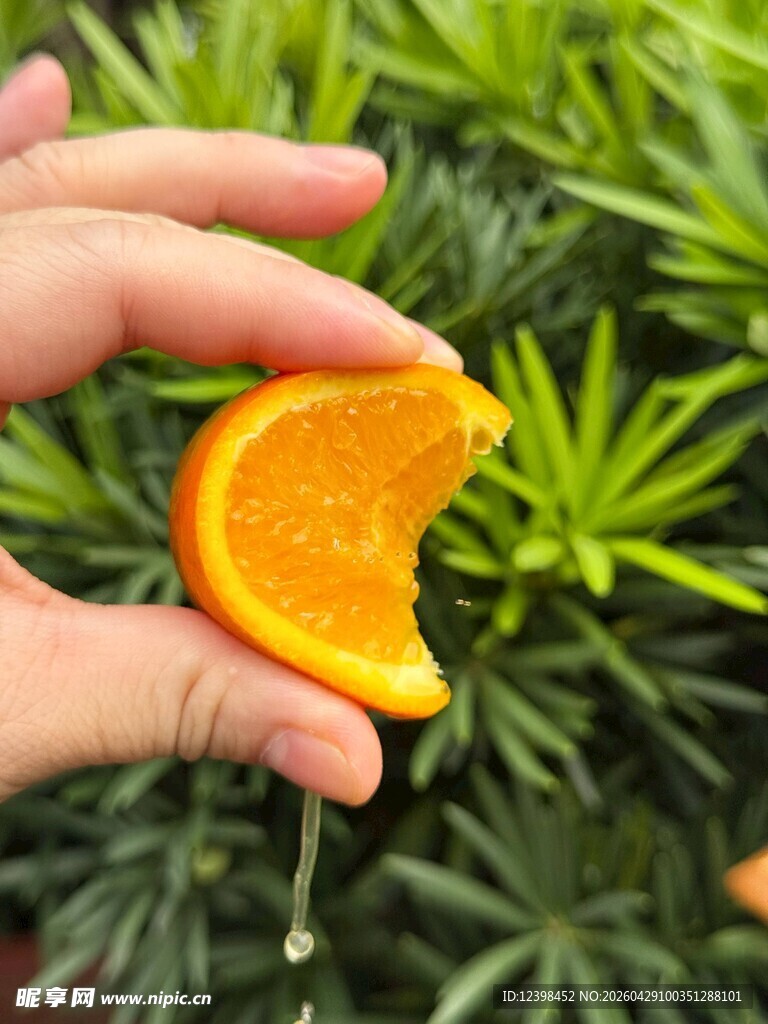 手拿咬过的橙子与绿植