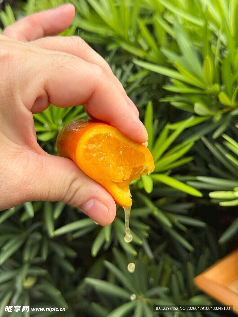 手捧橙色多汁水果