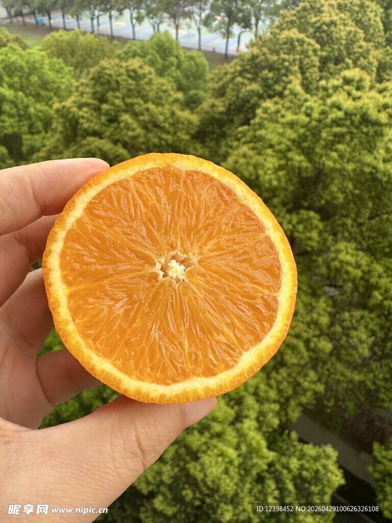 手捧鲜切橙子展示饱满果肉