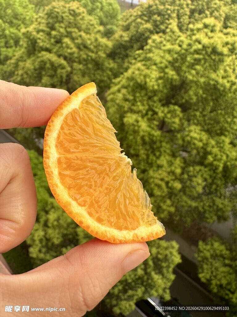 手捧鲜橙切片