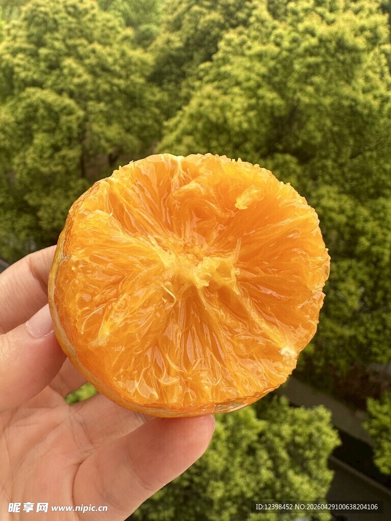手捧剥开的新鲜甜橘子